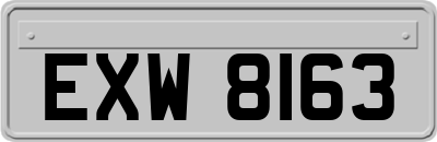 EXW8163
