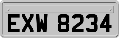 EXW8234