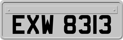 EXW8313