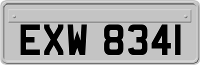 EXW8341