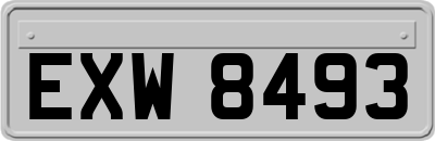 EXW8493