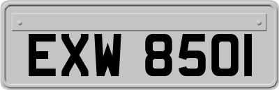 EXW8501