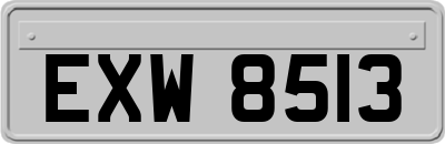 EXW8513