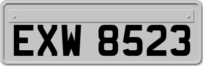 EXW8523