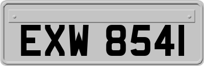 EXW8541