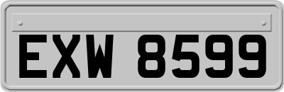 EXW8599