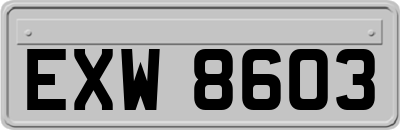 EXW8603