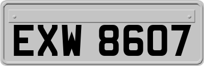 EXW8607