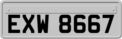 EXW8667
