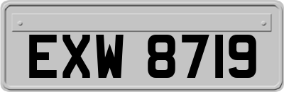 EXW8719