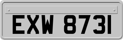 EXW8731