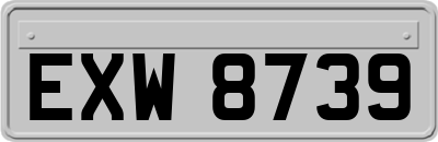 EXW8739