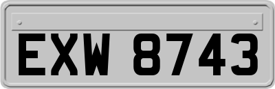 EXW8743