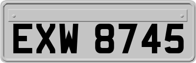 EXW8745