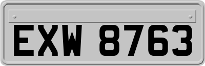 EXW8763