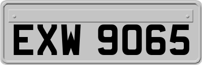 EXW9065