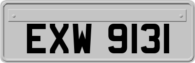 EXW9131