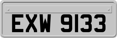 EXW9133