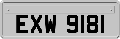 EXW9181