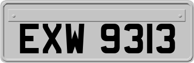 EXW9313