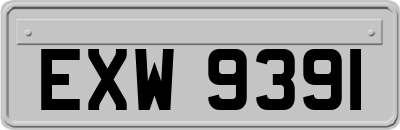 EXW9391