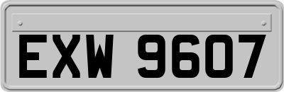 EXW9607