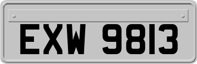 EXW9813