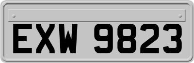 EXW9823