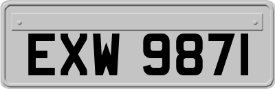 EXW9871