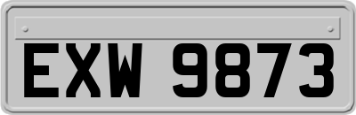 EXW9873
