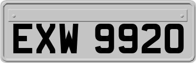 EXW9920