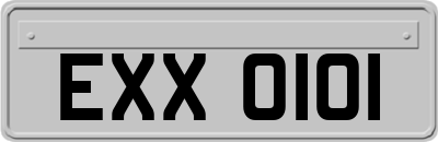 EXX0101