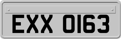 EXX0163