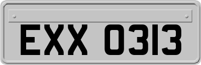 EXX0313