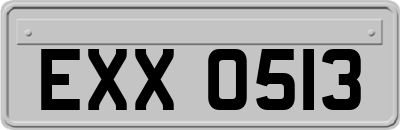 EXX0513