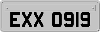 EXX0919