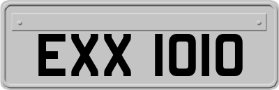 EXX1010