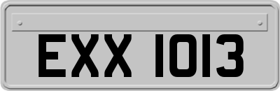 EXX1013