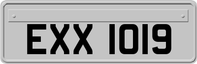 EXX1019