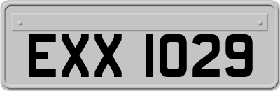 EXX1029