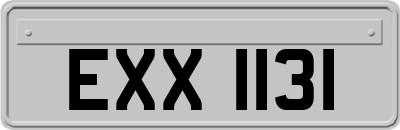 EXX1131