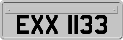 EXX1133