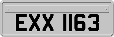 EXX1163