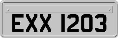EXX1203