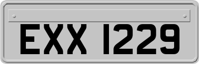 EXX1229