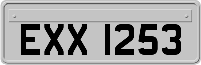 EXX1253