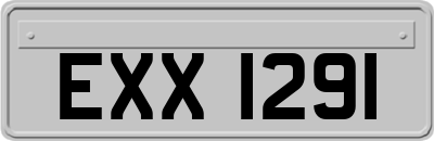 EXX1291