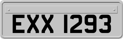EXX1293