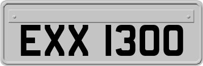 EXX1300
