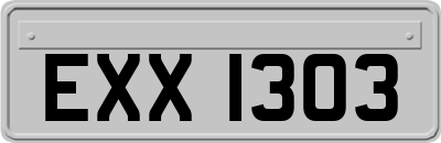 EXX1303